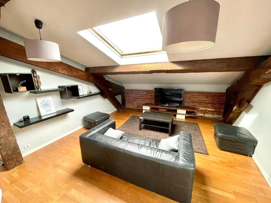 Le Charmeur - Appartement Climatise Avec 2 Chambres - Hypercentre トゥールーズ エクステリア 写真